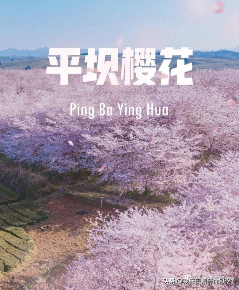 天涯明月刀