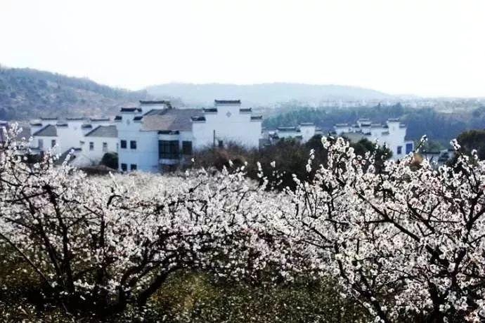 深泽县举办“点亮小橘灯 暖心送关爱”春节特别活动
