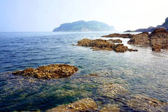基础年薪55万+300万元科研经费,上海交通大学电气工程系诚邀您依托申报!