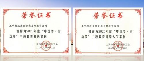 营救小乌龟
