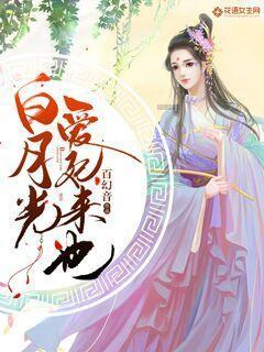 乐高都市卧底风云