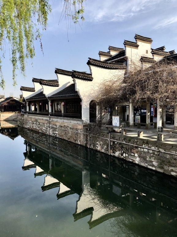 奇点灰烬