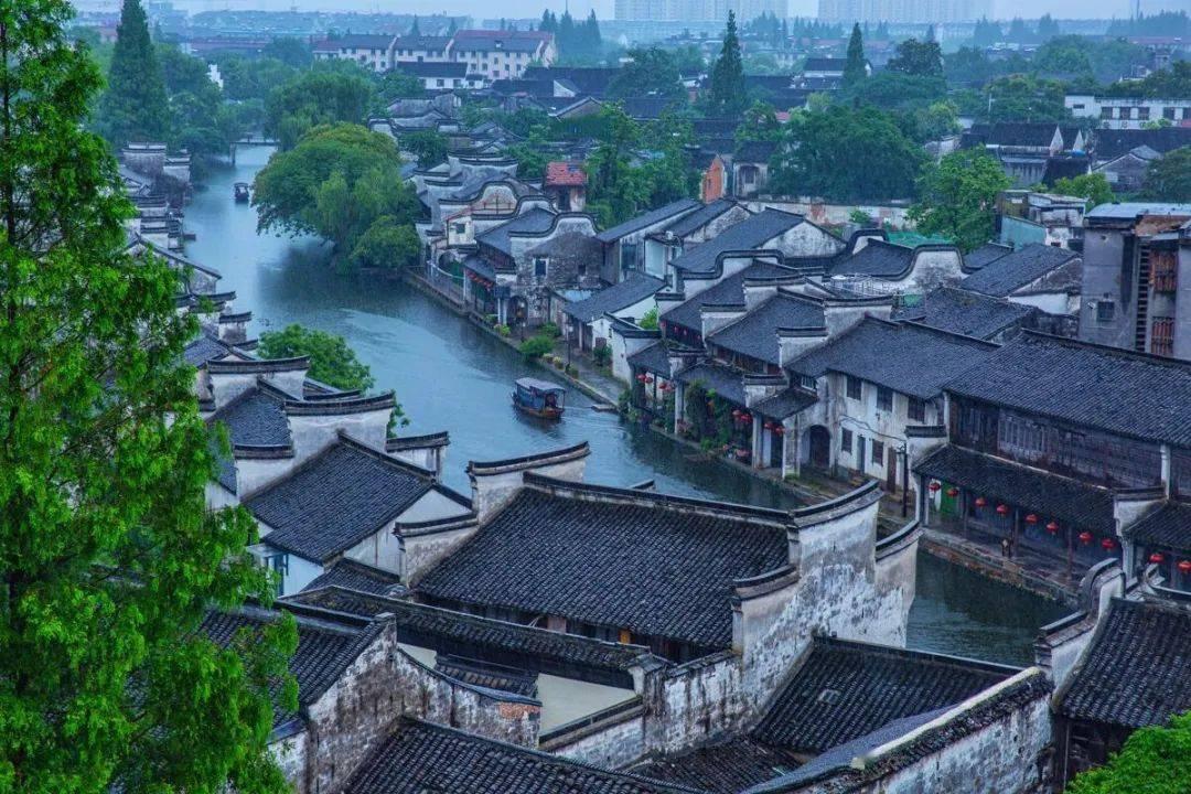 期纳新品种番茄前景好