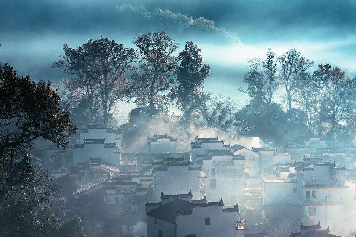 数码宝贝8